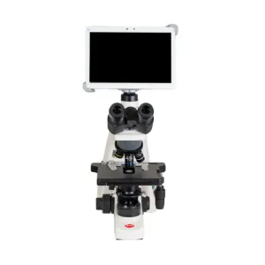 Product image for 1100402700082