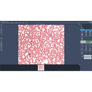 Product image for 1101001503681