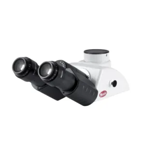 Product image for 1101001903491