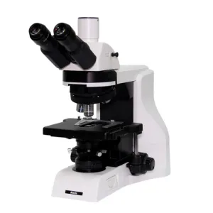 Product image for 1100105500031