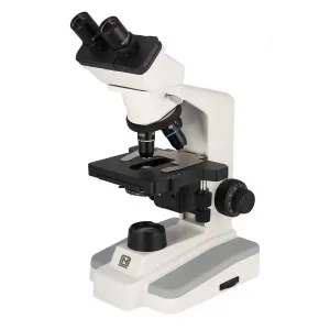 Product image for 168-P