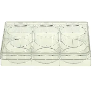 Product image for 703001