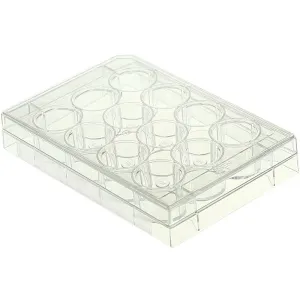 NEST Scientific 712001 12 Well Cell Culture Plate Flat TC Treated Sterile Individually Wrapped In Peelable Film