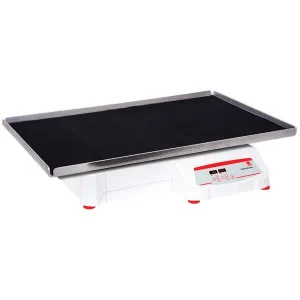 Product image for 30391884