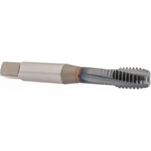 Product image for 1305712108