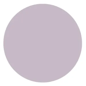Product image for PDAA-1P10