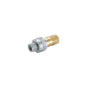 Parker 17TLIN13MPX Series 17 1/4" Brass Coupler Schrader Interchange, Female Thread