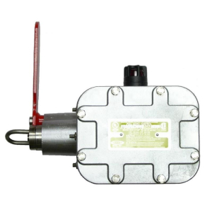 Rees 04967-212 Explosion Proof Switch with Flag Status Indicator, 2 (NO/NC) SPDT