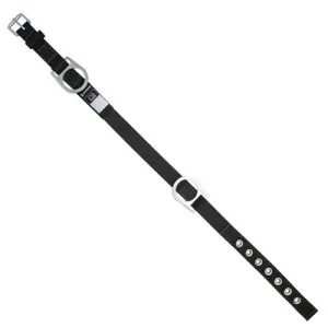 Product image for FSBELT-2D-RINGS-2X