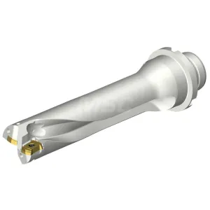 Product image for 7755888