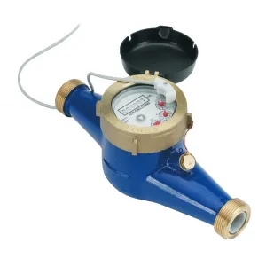 Seametrics MJE-100 MJ-Series 1" Bronze Body Pulse Meter for Cold Water w/ Solid-state Sensor