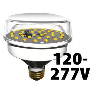 Product image for 2795