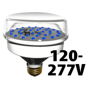 Product image for 2797