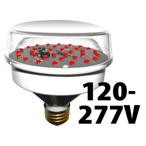 Product image for 2802