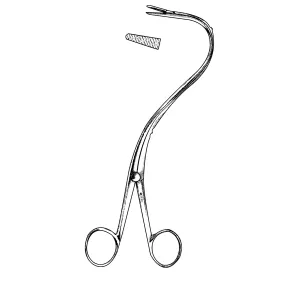 Product image for 85-1985