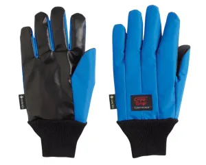 Product image for CGWRLWP