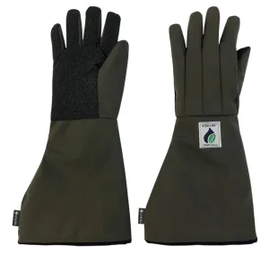 Product image for CLEMWP