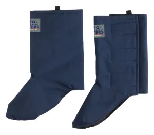 Product image for CPIGR