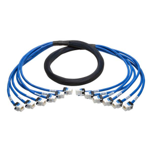 Tripp-Lite N261-006-6FF-BL Cat6a 10G Pre-Terminated Copper Trunk Assembly (6x RJ45 F/F) Blue 6 ft. (1.83 m)