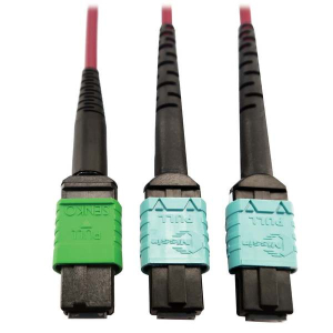 Tripp-Lite N846D-01M-16DMG 400G Multimode 50/125 OM4 Plenum Fiber Optic Cable, 16F MTP/MPO-APC to (x2) 12F MTP/MPO-UPC (F/F), Magenta, 1 m