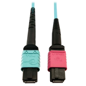 Tripp-Lite N846D-05M-24DAQ 400G Multimode 50/125 OM4 Plenum Fiber Optic Cable, 24F MTP/MPO-UPC to 16F MTP/MPO-UPC (F/F), Aqua, 5 m