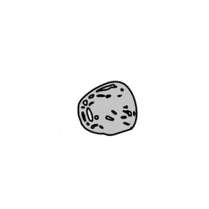 Product image for 2522258