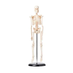Product image for HSKL42