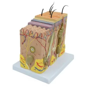 Product image for MAHS02