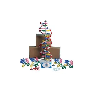 Product image for DNAM01-K4