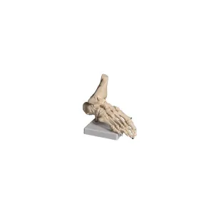 Product image for HUFT01
