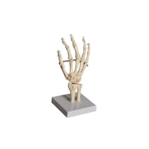 Product image for HUHN01
