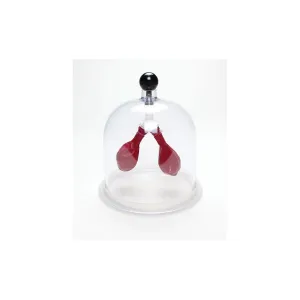 Product image for LUNG01-B