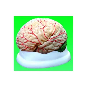 Product image for MAHB03