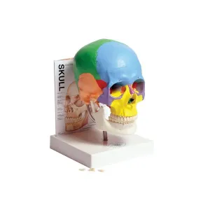 Product image for MASKU1