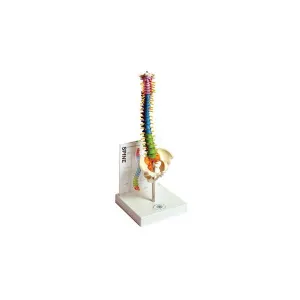 Product image for MASPN1