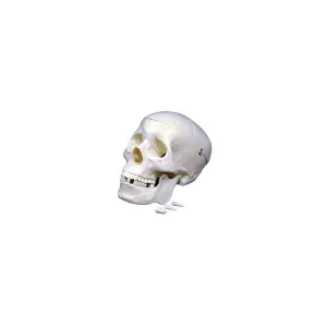 Product image for PSM001