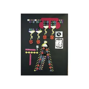 United Scientific Supplies PSYKIT Protein Synthesis Manipulatives Kit