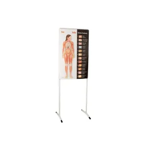 Product image for SEETHS1