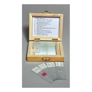 Product image for SLD200-SET/12
