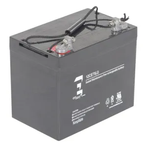Product image for AGM-UPG-1-12V