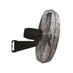 Product image for CCRF-24-P