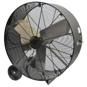 Product image for DDB-36