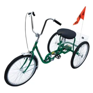 Product image for IBIKE-3-DC-G
