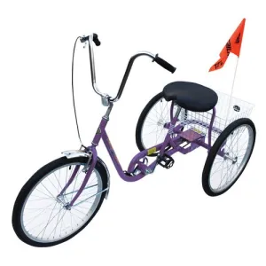 Product image for IBIKE-3-DC-P