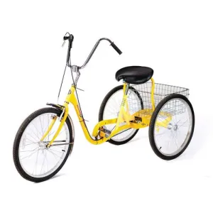 Product image for IBIKE-3-DCHH-Y