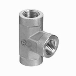 Western Enterprises BFT-4SS Pipe Thread Tees, 1/4" NPT, St. Steel