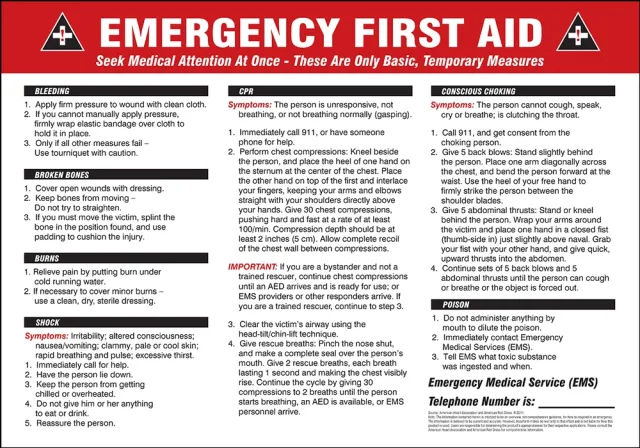 Accuform MFSD604VS Safety Signs: Emergency First Aid