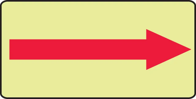 Accuform MLEX548GP Glow-In-The-Dark Safety Sign: (Red Arrow)