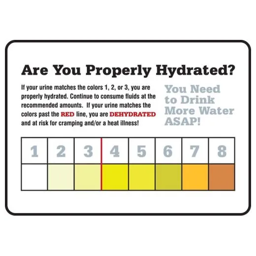 Accuform MRST533XV 7"" x 10"" Safety Signs: Are You Properly Hydrated, Adhesive Dura-Vinyl