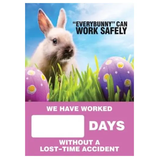 Accuform SCC720 28"" x 20"" Digi-Day Magnetic Faces: Everybunny Can Work Safely, Magnetic Face Only